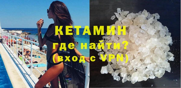 трава Коряжма