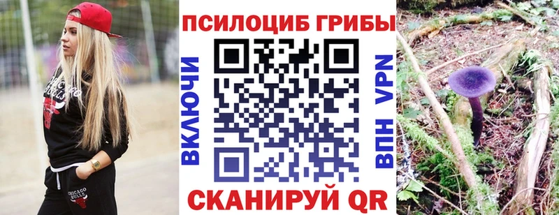 Галлюциногенные грибы Psilocybine cubensis  Гусь-Хрустальный 